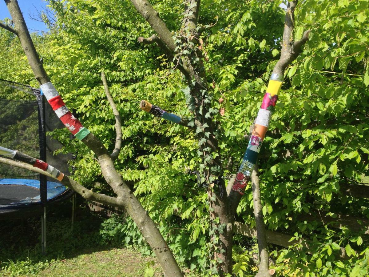 Gemuetliche Blockhuette In Wiennaehe