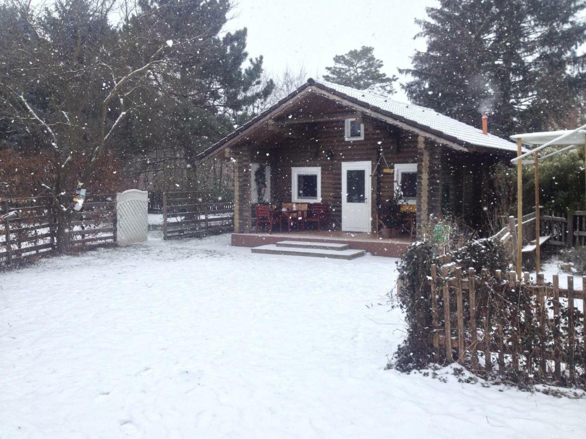 Chalet Gemuetliche Blockhuette In Wiennaehe Zofing